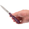 Нож столовый OPINEL №112, деревянная рукоять, блистер, нержавеющая сталь, сливовый 001914
